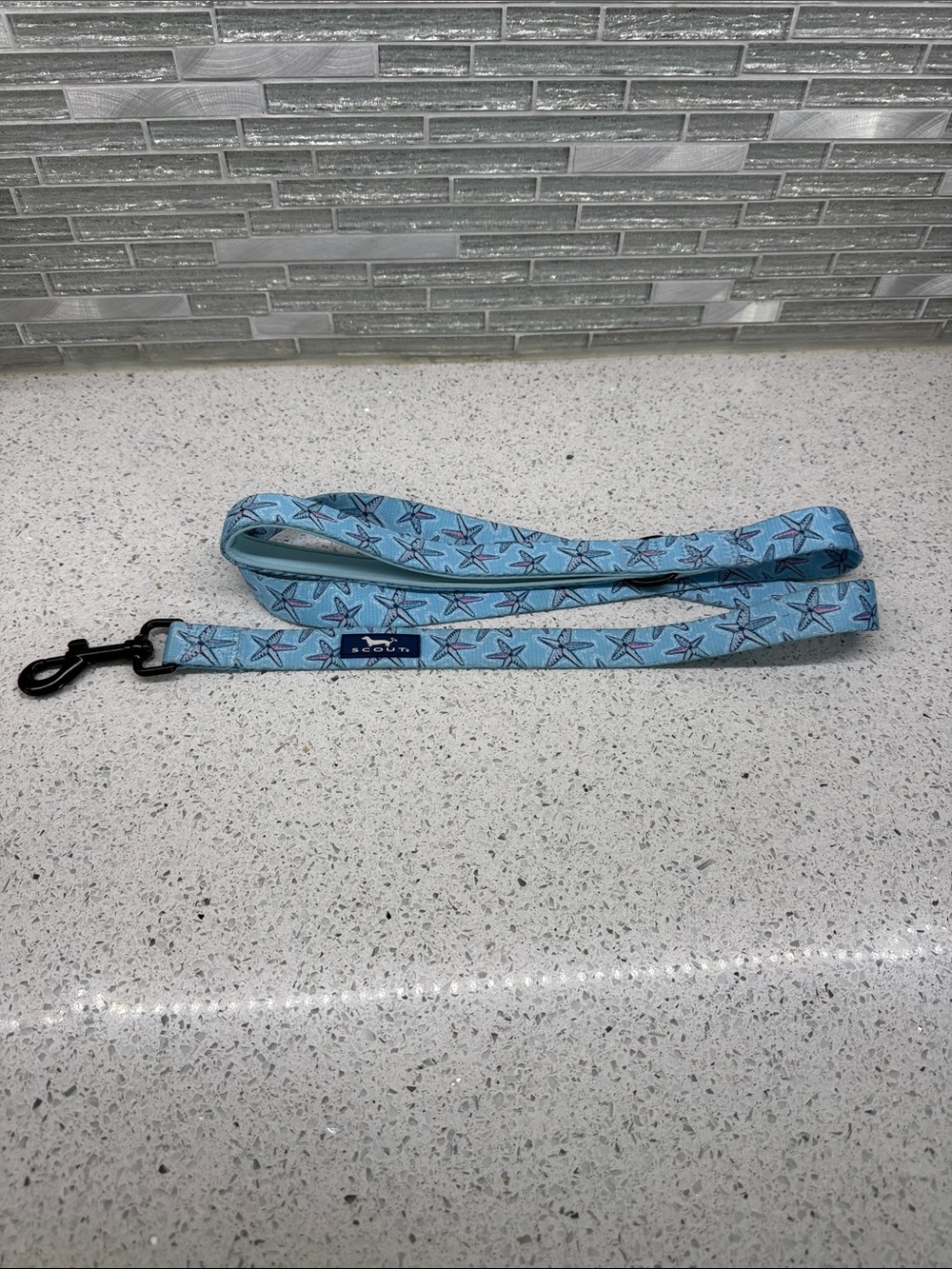 Scout Blue Starfish Pattern Dog Leash